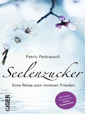 cover image of Seelenzucker